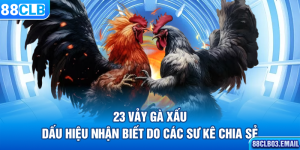 23 Vảy Gà Xấu – Dấu Hiệu Nhận Biết Do Các Sư Kê Chia Sẻ