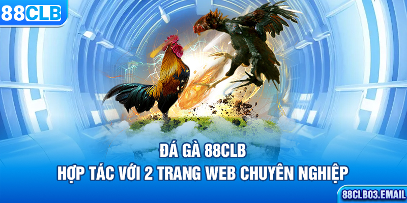 Đá gà 88CLB hợp tác với 2 trang web chuyên nghiệp