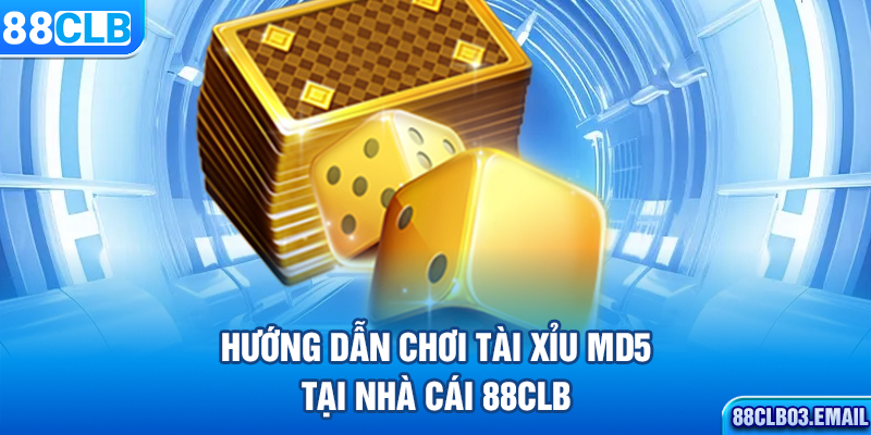 Hướng dẫn chơi tài xỉu MD5 tại nhà cái 88CLB