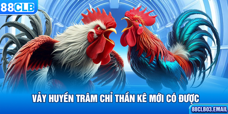 Vảy huyền trâm chỉ thần kê mới có được